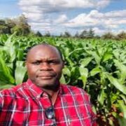 How to Avoid Bad Quality When Importing from Africa